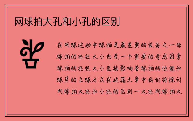 网球拍大孔和小孔的区别