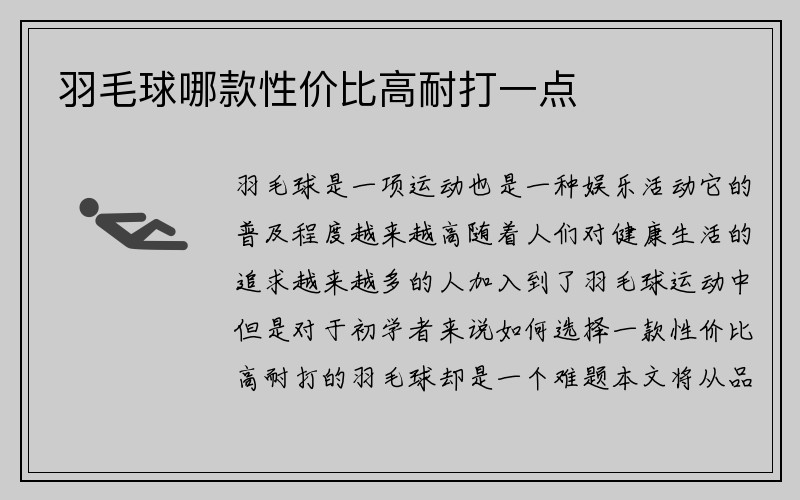 羽毛球哪款性价比高耐打一点